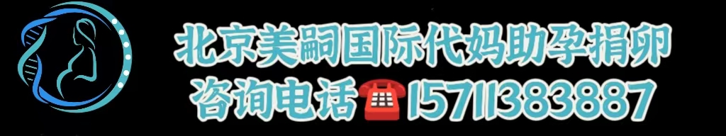 美嗣国际代怀网站_北京助孕机构电话-代妈代生网站